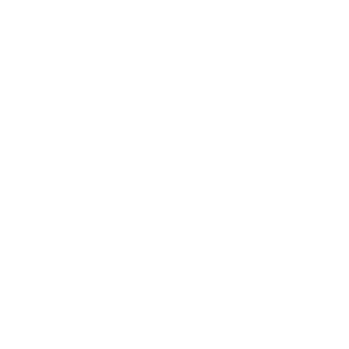 Logo Site Asvi Company